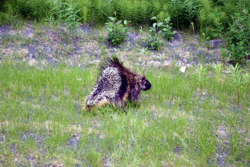 070304 Hope Seward Hope (10103)